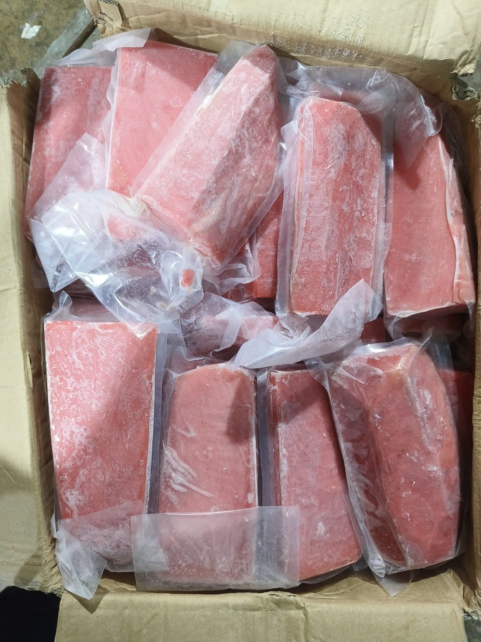 Tuna dan lainnya